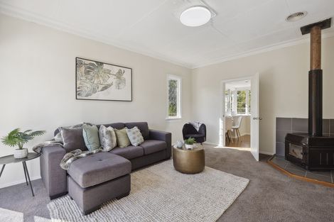 Photo of property in 37 Birchfield Avenue, North East Valley, Dunedin, 9010