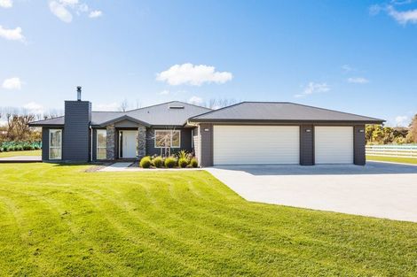 Photo of property in 140 Mount Biggs Road, Halcombe, 4779
