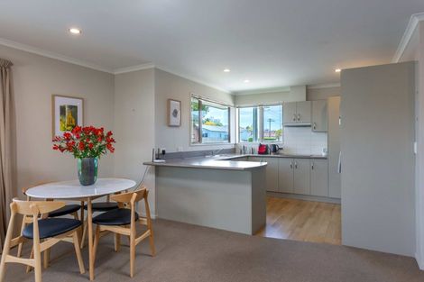 Photo of property in 113 Charles Street, Blenheim, 7201