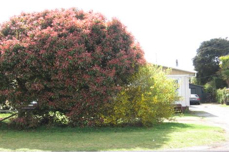 Photo of property in 12 Kaka Street, Taupo, 3330