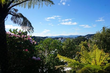 Photo of property in 76a Wright Street, Mount Cook, Wellington, 6021