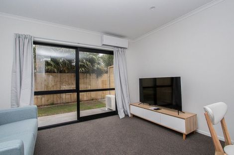Photo of property in 17u7 Lyon Street, Frankton, Hamilton, 3204