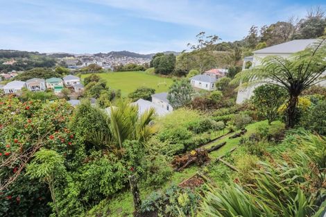 Photo of property in 55 Bidwill Street, Mount Cook, Wellington, 6021