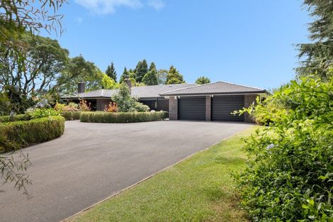 Photo of property in 529b Te Puke Highway, Te Puke, 3187