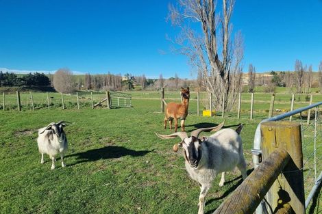 Photo of property in 2/82 Station Road, Takapau, Waipukurau, 4281