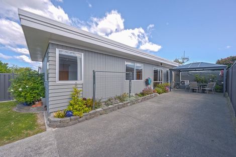 Photo of property in 133 Westminster Avenue, Tamatea, Napier, 4112