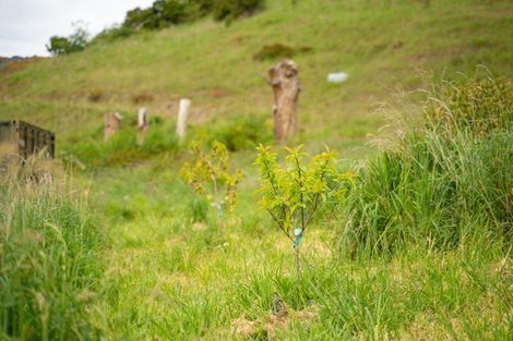 Photo of property in 41 Lighthouse Road, Akaroa, 7520