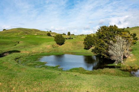 Photo of property in 184 Tangowahine Valley Road, Tangowahine, 0372