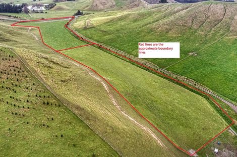 Photo of property in 246 Hopelands Road, Woodville, 4997