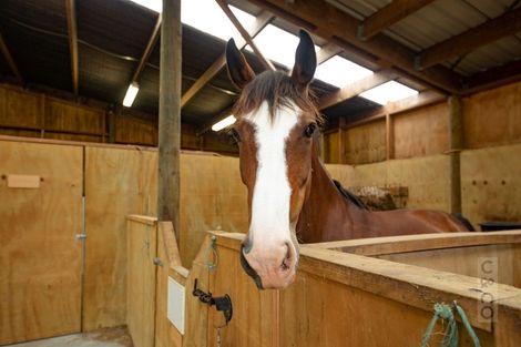 Photo of property in 17 Deacon Road, Riverhead, Kumeu, 0892