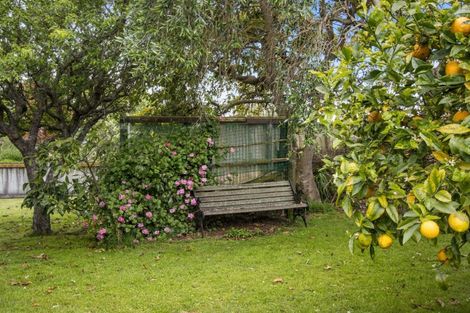 Photo of property in 15 Toomey Street, Waihi, 3610