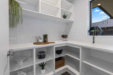 Photo of property in 61 Tauhinu Avenue, Lincoln, 7608