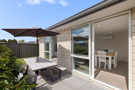 Photo of property in 17 Flack Street, Pyes Pa, Tauranga, 3112