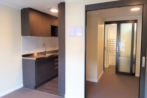 Photo of property in Frame Apartments, 502/111u Molesworth Street, Thorndon, Wellington, 6011