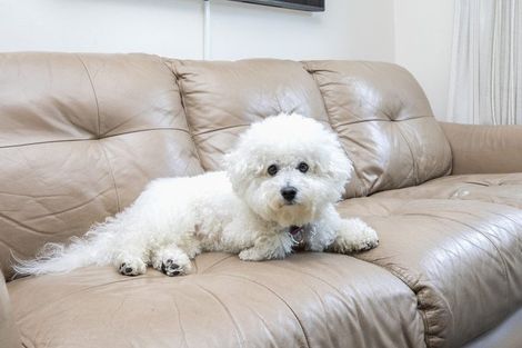 Photo of property in 8/16 Derby Street, St Albans, Christchurch, 8014