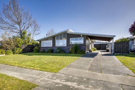 Photo of property in 43 Salisbury Avenue, Tamatea, Napier, 4112