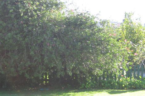 Photo of property in 12 Falls Street, Warkworth, 0910