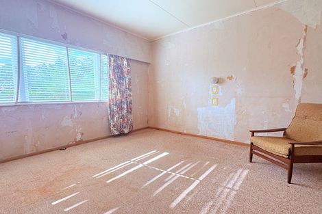 Photo of property in 73 Mclean Street, Wairoa, 4108