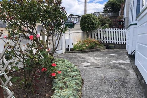 Photo of property in 20 Carrington Street, Mount Cook, Wellington, 6021