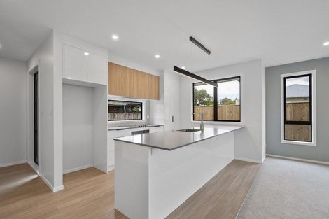 Photo of property in 10 Limbrick Street, Terrace End, Palmerston North, 4410