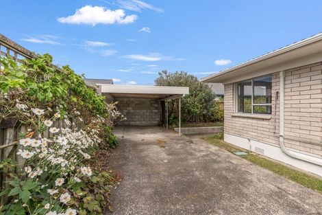 Photo of property in 33a James Street, Whakatane, 3120