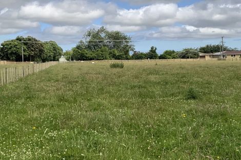 Photo of property in 161 Gladstone Road, Levin, 5571