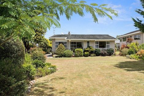 Photo of property in 25 David Street, Morrinsville, 3300