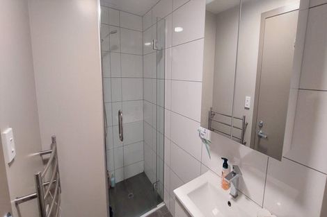Photo of property in Canvas Apartments, 307u4 Willis Street, Te Aro, Wellington, 6011