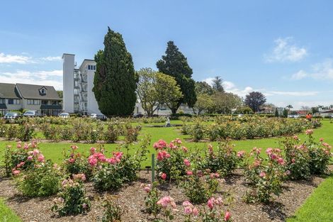 Photo of property in 3/22 Cliff Road, Tauranga, 3110