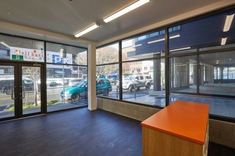 Photo of property in Vsp Nothern Tower, 166c1 Victoria Street, Te Aro, Wellington, 6011