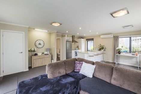 Photo of property in 56a Glasgow Terrace, Feilding, 4702