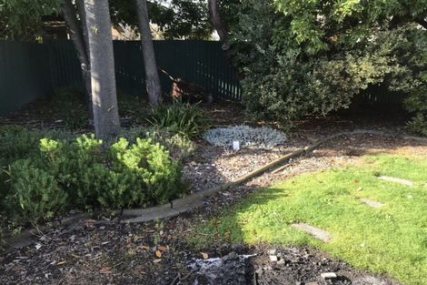 Photo of property in 16 Saxton Street, Levin, 5510