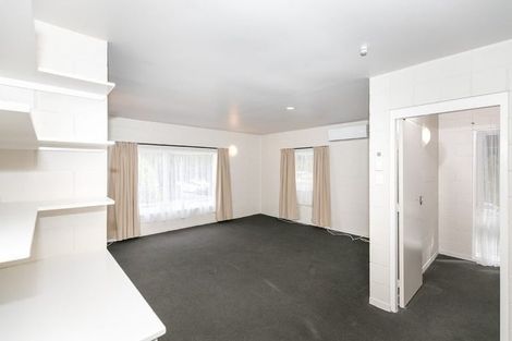 Photo of property in 25c Opoia Road, Hamilton East, Hamilton, 3216