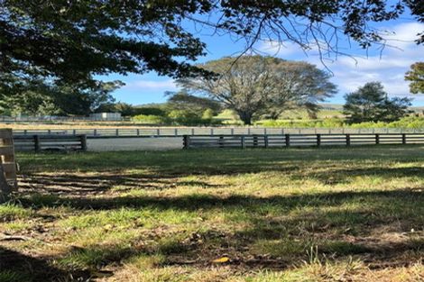 Photo of property in Long Cottage Gallery, 145 Iona Road, Havelock North, 4130