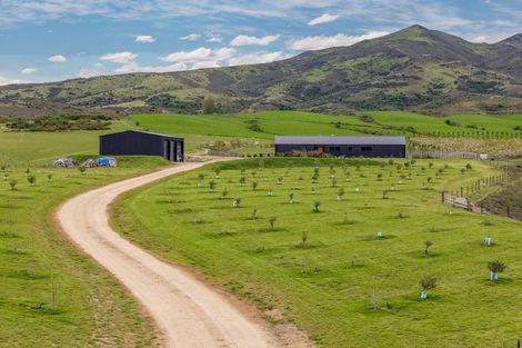 Photo of property in 39 Kordia Way, Waikerikeri, Alexandra, 9391