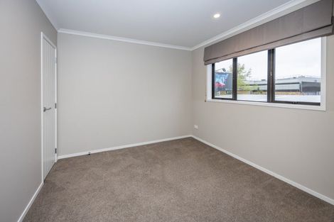Photo of property in 30u2 Willoughby Street, Whitiora, Hamilton, 3200
