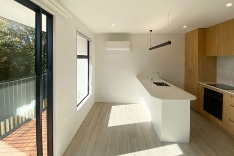 Photo of property in 3/55 Mathesons Road, Phillipstown, Christchurch, 8011
