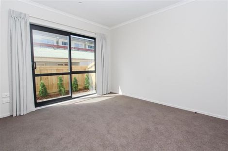 Photo of property in 18u6 Hunter Street, Hamilton Lake, Hamilton, 3204