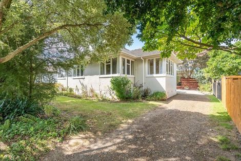Photo of property in 128 Clarkin Road, Fairfield, Hamilton, 3214