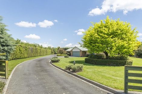 Photo of property in 4 Bella Court, Feilding, 4702