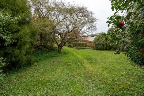 Photo of property in 60 Pine Avenue, Melville, Hamilton, 3206