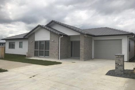 Photo of property in 29 Huamanu Street, Pukekohe, 2120