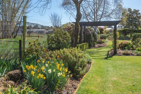 Photo of property in 39 Montrose Avenue, Culverden, 7392