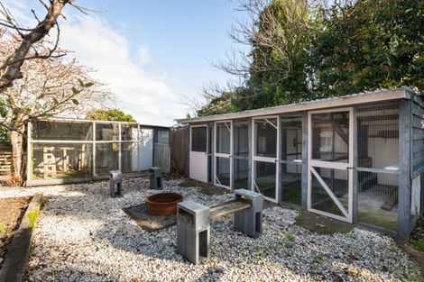 Photo of property in 12 Albert Street, Waihi, 3610