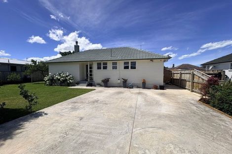 Photo of property in 735 Ngaio Street, Mahora, Hastings, 4120