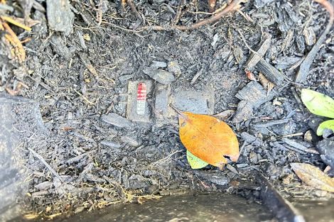 Photo of property in 60 Hewlett Road, Massey, Auckland, 0614