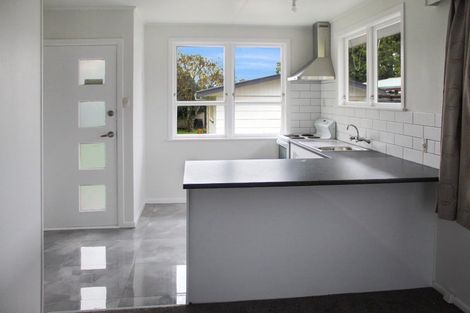 Photo of property in 155 Salisbury Street, Ashhurst, 4810