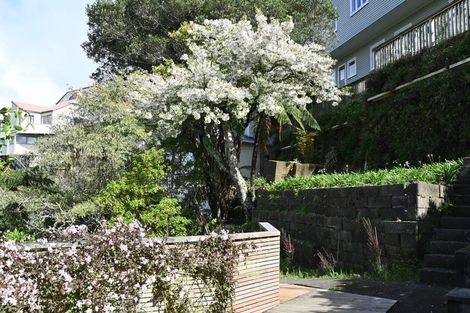 Photo of property in 47 Harbour View Road, Northland, Wellington, 6012