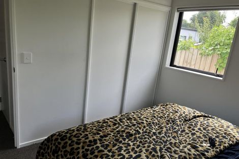 Photo of property in 16 League Lane, Phillipstown, Christchurch, 8011