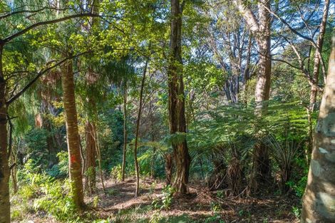 Photo of property in 19 Hayes Road, Henderson Valley, Auckland, 0612